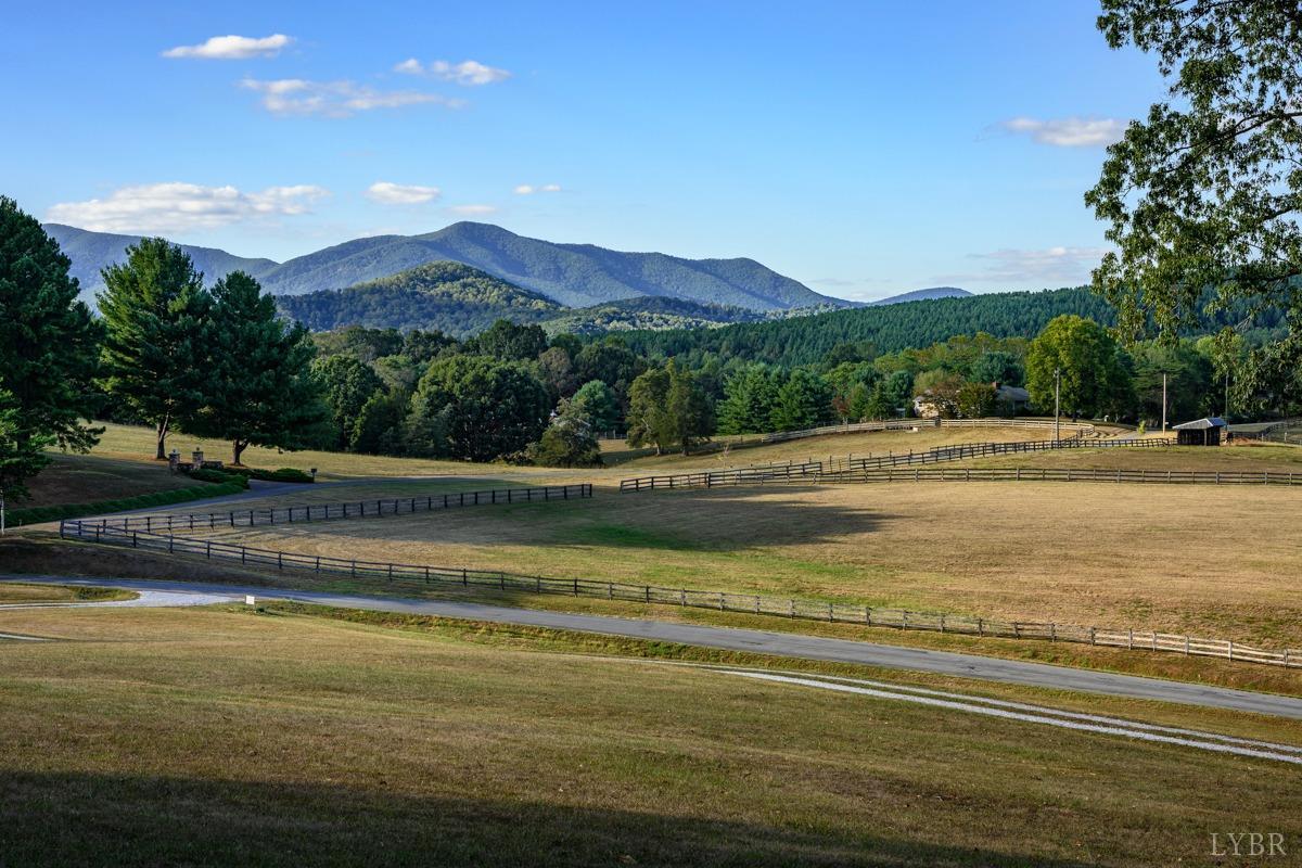 1209 Sycamore Creek Drive, Goode, Virginia image 12