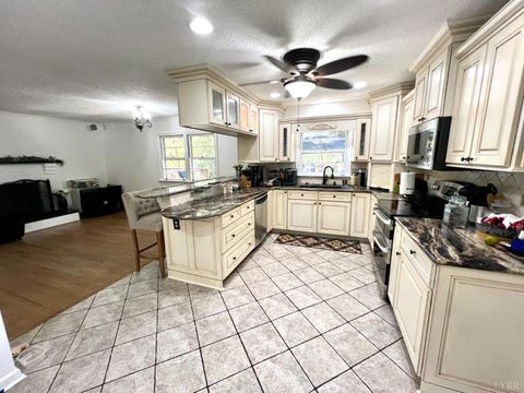 Tiny photo for 103 Cedar Street, Madison Heights, VA 24572 (MLS # 362463)