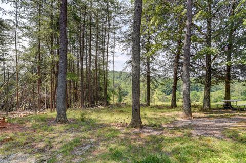 Tiny photo for 3122 Buffalo Run, Thaxton, VA 24174 (MLS # 364028)