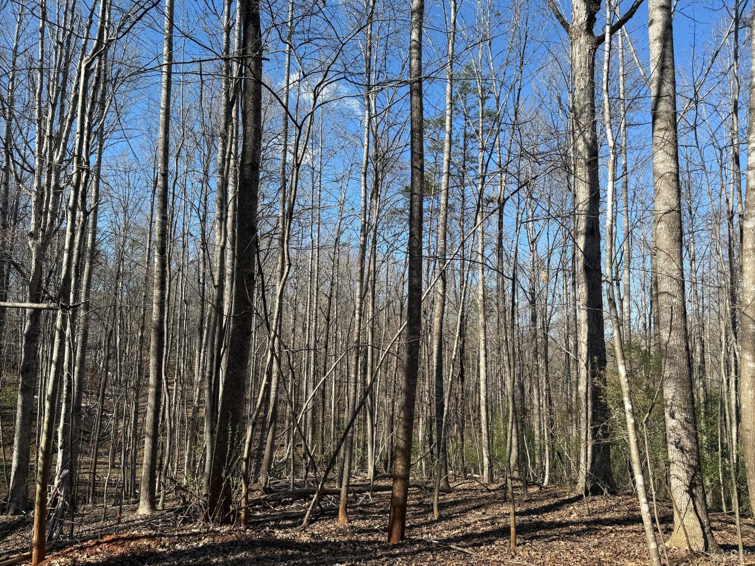Hooper Road, Forest, Virginia image 1