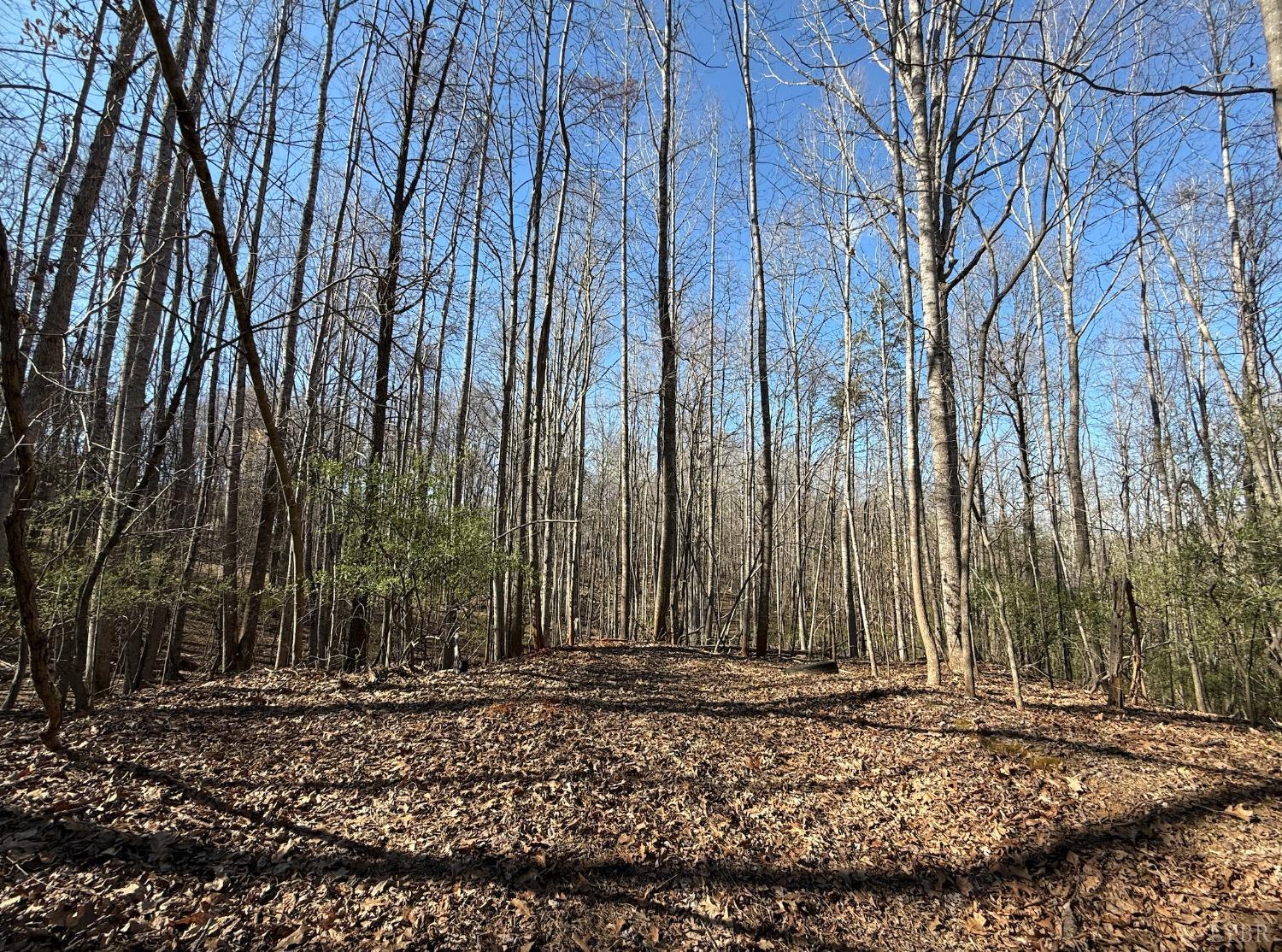 Hooper Road, Forest, Virginia image 2
