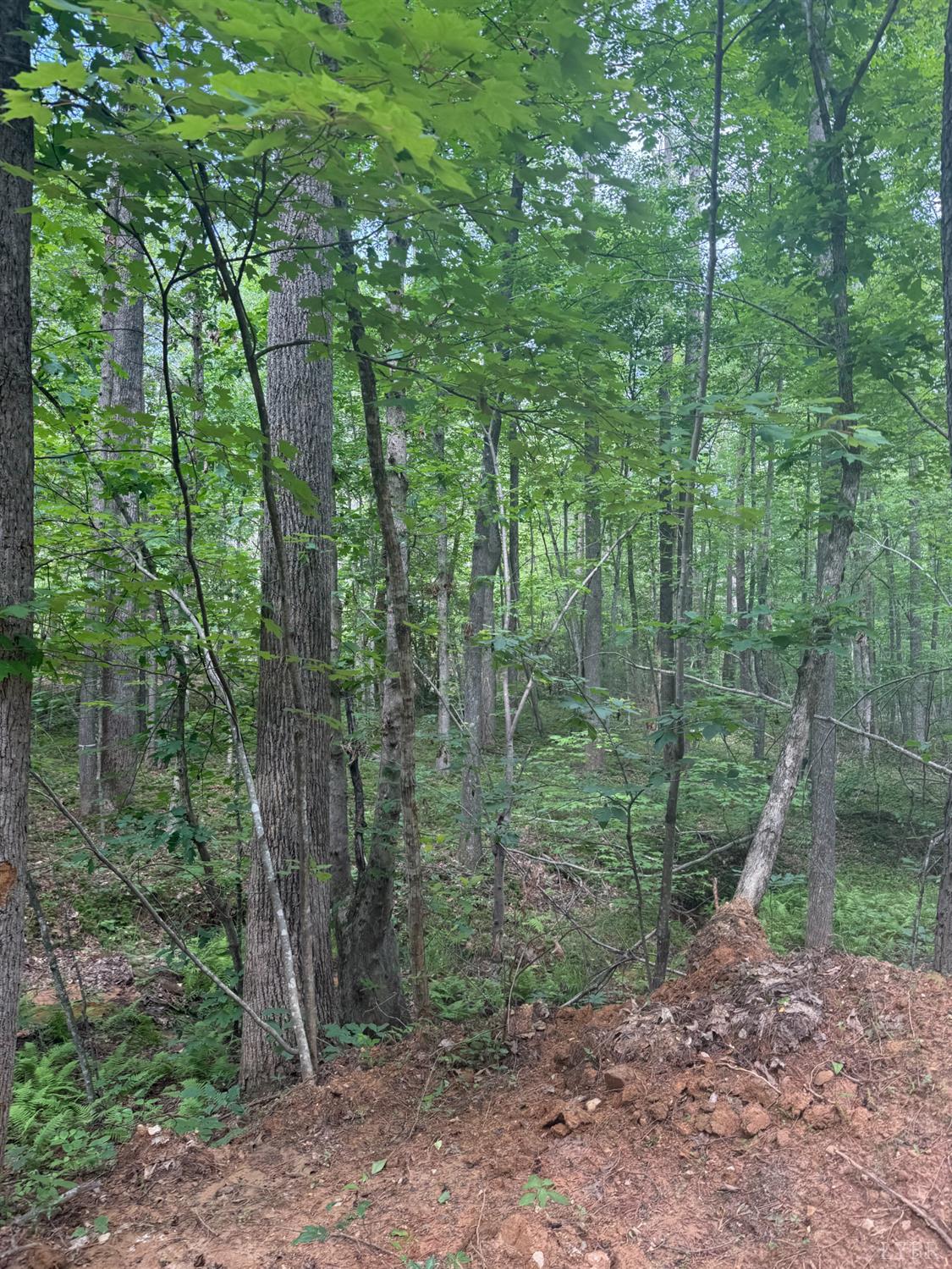 4608 Norwood Road, Gladstone, Virginia image 12