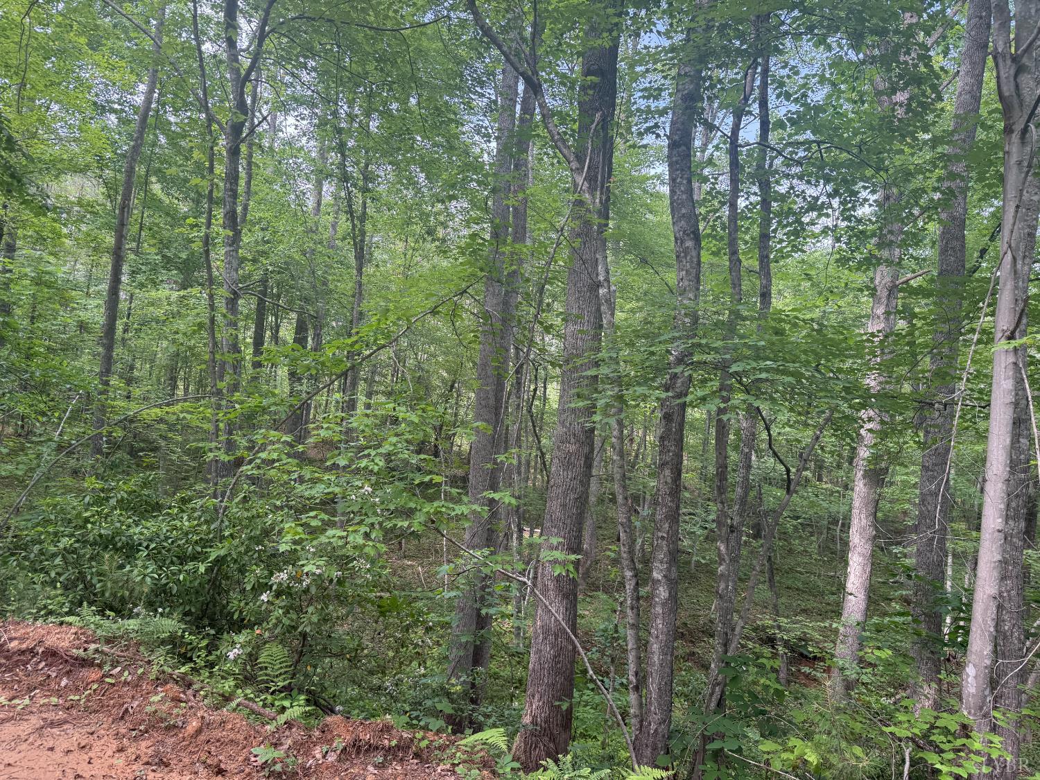 4608 Norwood Road, Gladstone, Virginia image 14