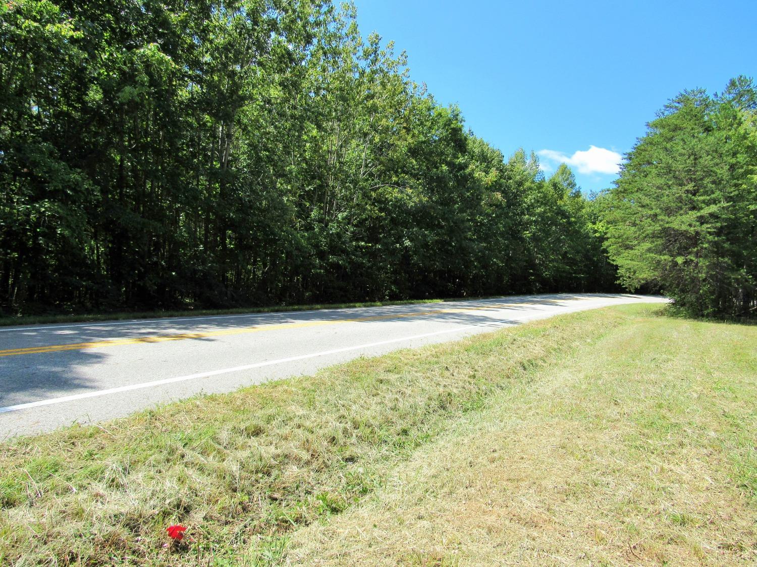 James River Road, Wingina, Virginia image 5