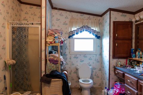 Tiny photo for 3160 Owens Mill Road, Gretna, VA 24557 (MLS # 362868)