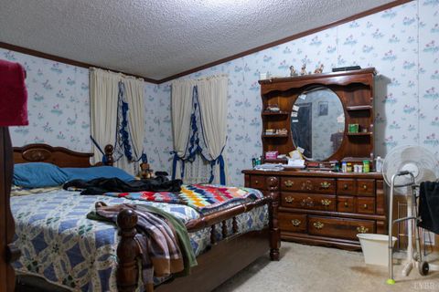 Tiny photo for 3160 Owens Mill Road, Gretna, VA 24557 (MLS # 362868)