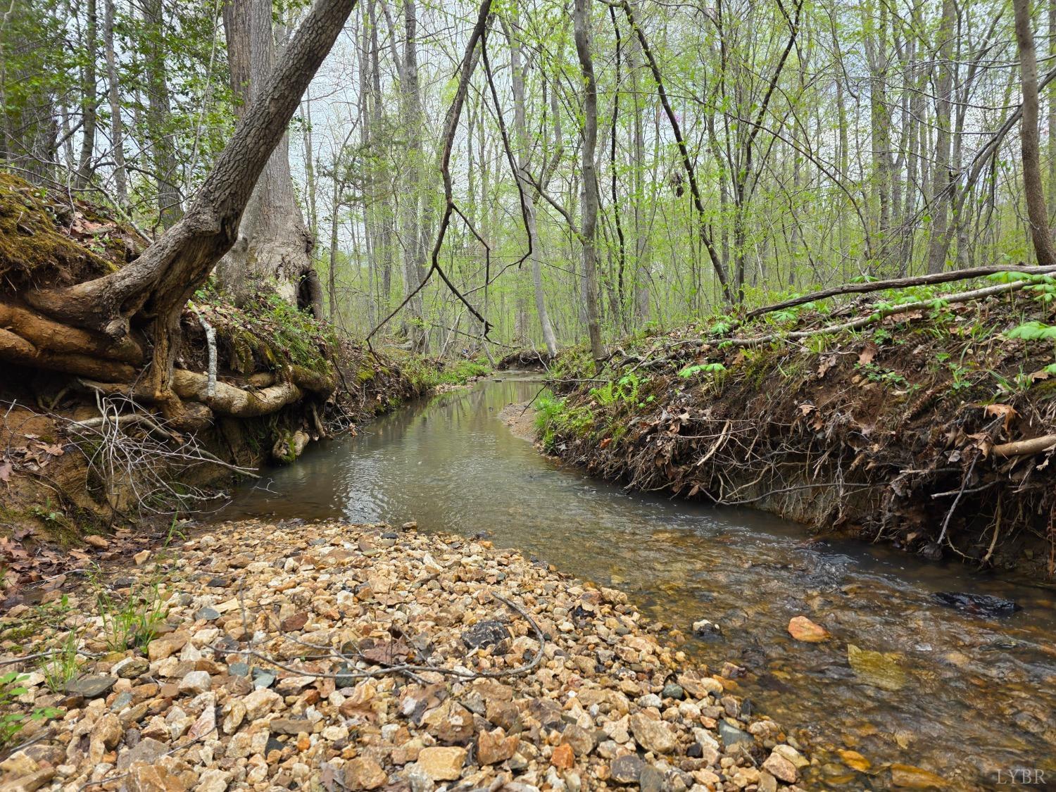 Spring Grove Road, Spout Spring, Virginia image 1