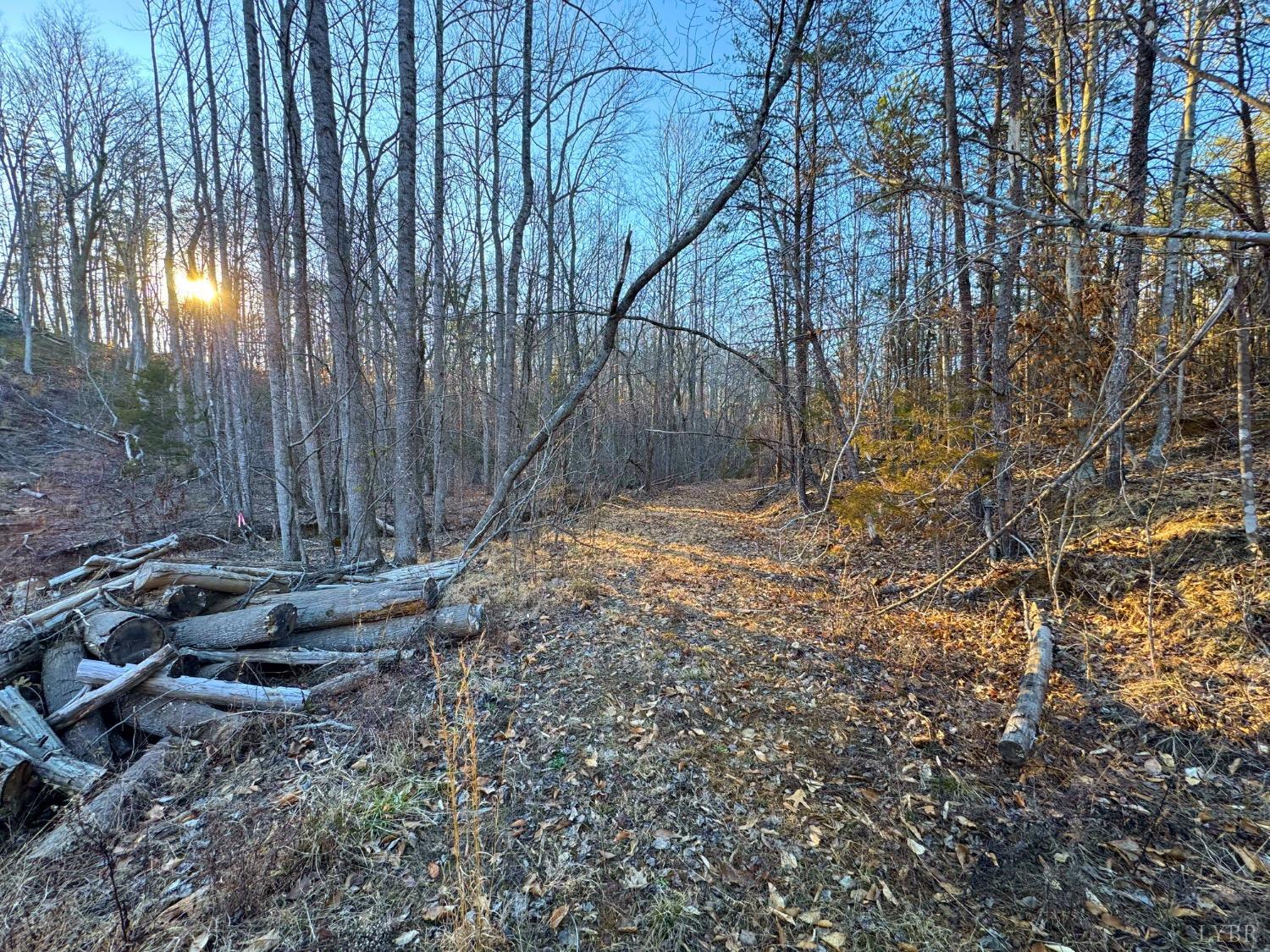 2227 Beckham Rd Rd, Concord, Virginia image 44