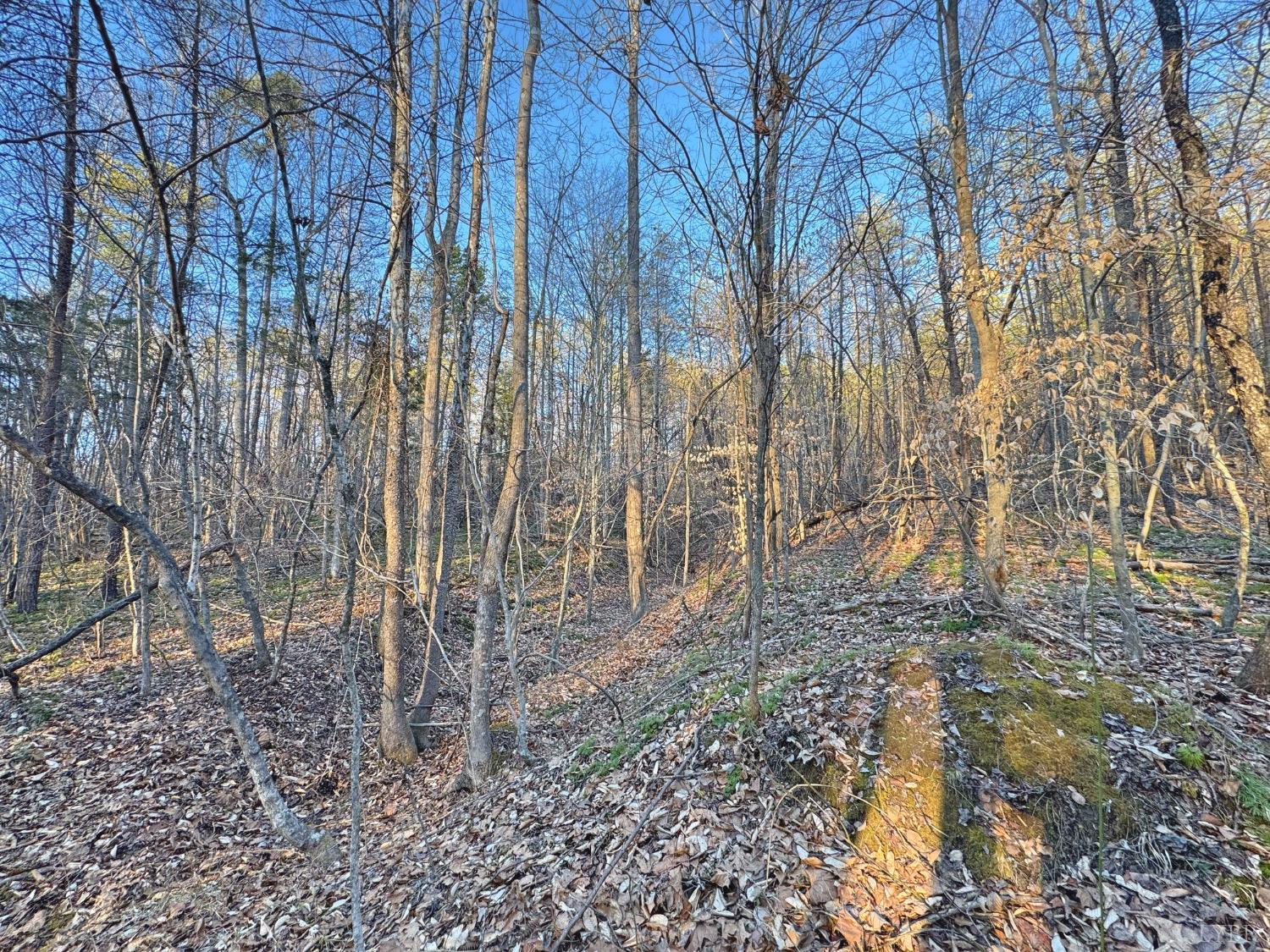 2227 Beckham Rd Rd, Concord, Virginia image 41