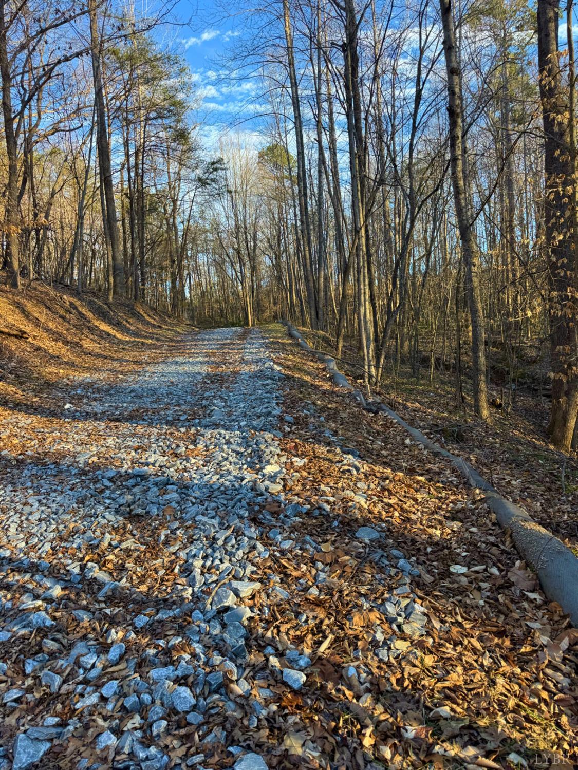 2227 Beckham Rd Rd, Concord, Virginia image 43