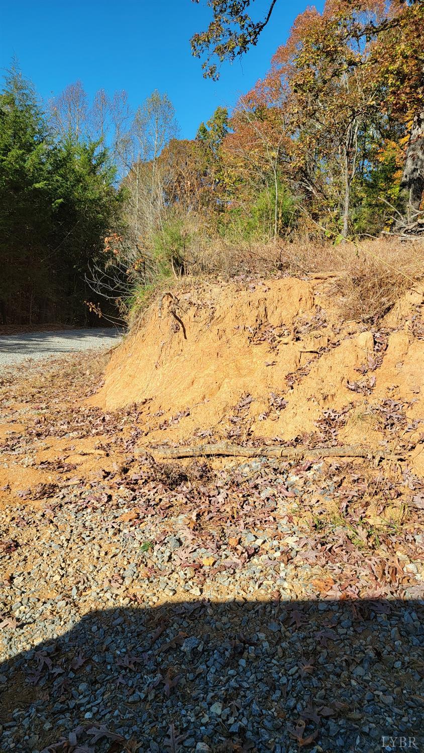 Pilot Mountain Road, Moneta, Virginia image 4