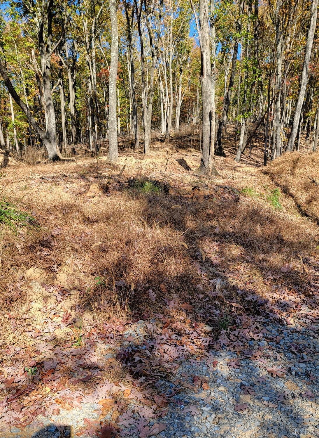 Pilot Mountain Road, Moneta, Virginia image 8