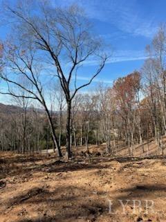 Pilot Mountain Road, Moneta, Virginia image 13