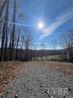 Pilot Mountain Road, Moneta, Virginia image 15