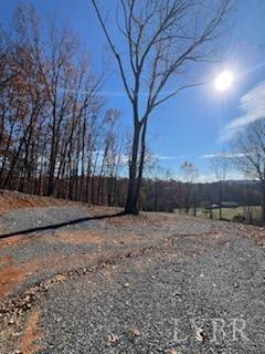 Pilot Mountain Road, Moneta, Virginia image 14