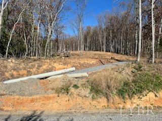 Pilot Mountain Road, Moneta, Virginia image 9