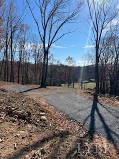 Pilot Mountain Road, Moneta, Virginia image 12