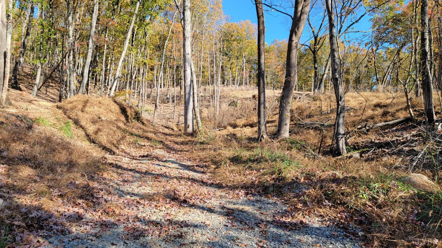 Pilot Mountain Road, Moneta, Virginia image 1