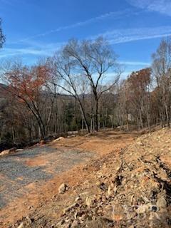 Pilot Mountain Road, Moneta, Virginia image 10