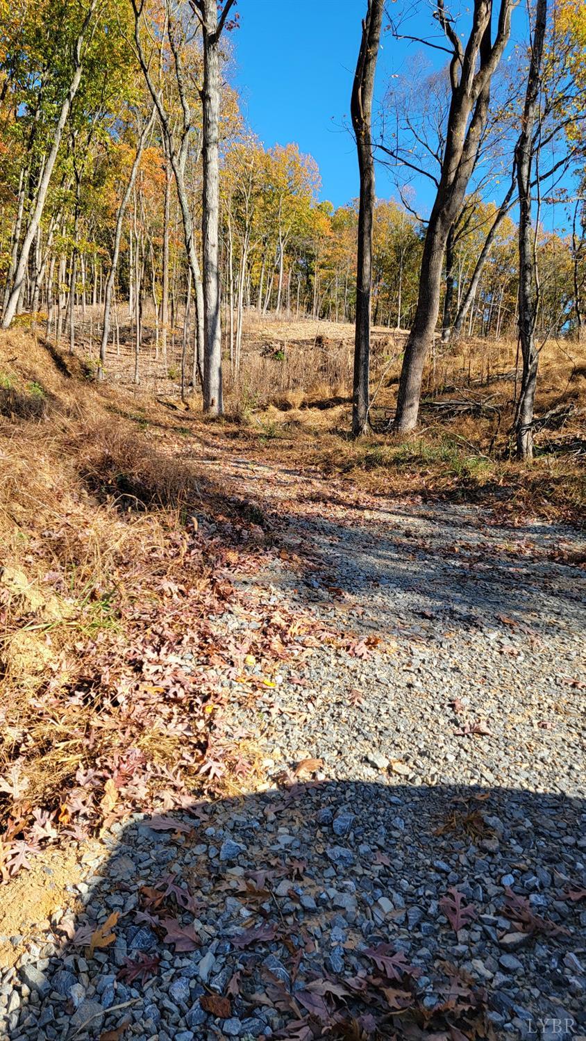 Pilot Mountain Road, Moneta, Virginia image 2