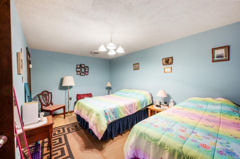 Tiny photo for 378 Watt Abbitt Road, Appomattox, VA 24522 (MLS # 361104)
