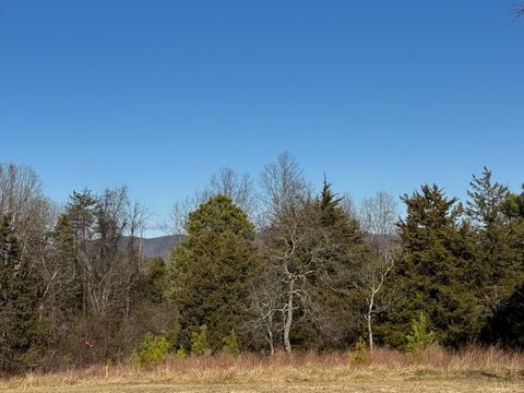 Tiny photo for 5532 Watt Abbitt Road Rd, Appomattox, VA 24522 (MLS # 363727)