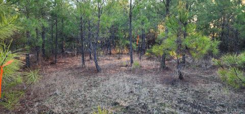 Tiny photo for 0 Rose Lane, Nathalie, VA 24577 (MLS # 363940)