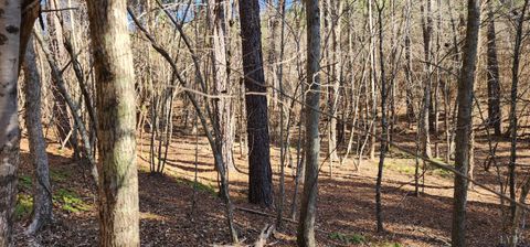 Tiny photo for 0 Rose Lane, Nathalie, VA 24577 (MLS # 363940)