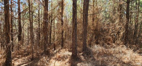 Tiny photo for 0 Rose Lane, Nathalie, VA 24577 (MLS # 363940)