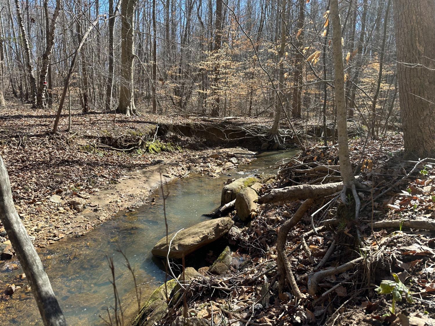 Elon Rd. Road, Madison Heights, Virginia image 12