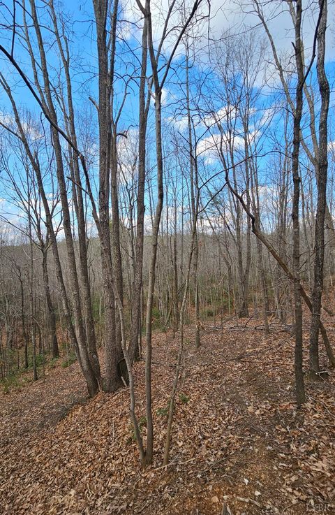Tiny photo for 0 Easome Road, Hurt, VA 24563 (MLS # 364852)