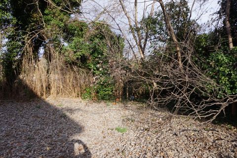 Tiny photo for 3219 Fort Avenue, Lynchburg, VA 24501 (MLS # 363812)