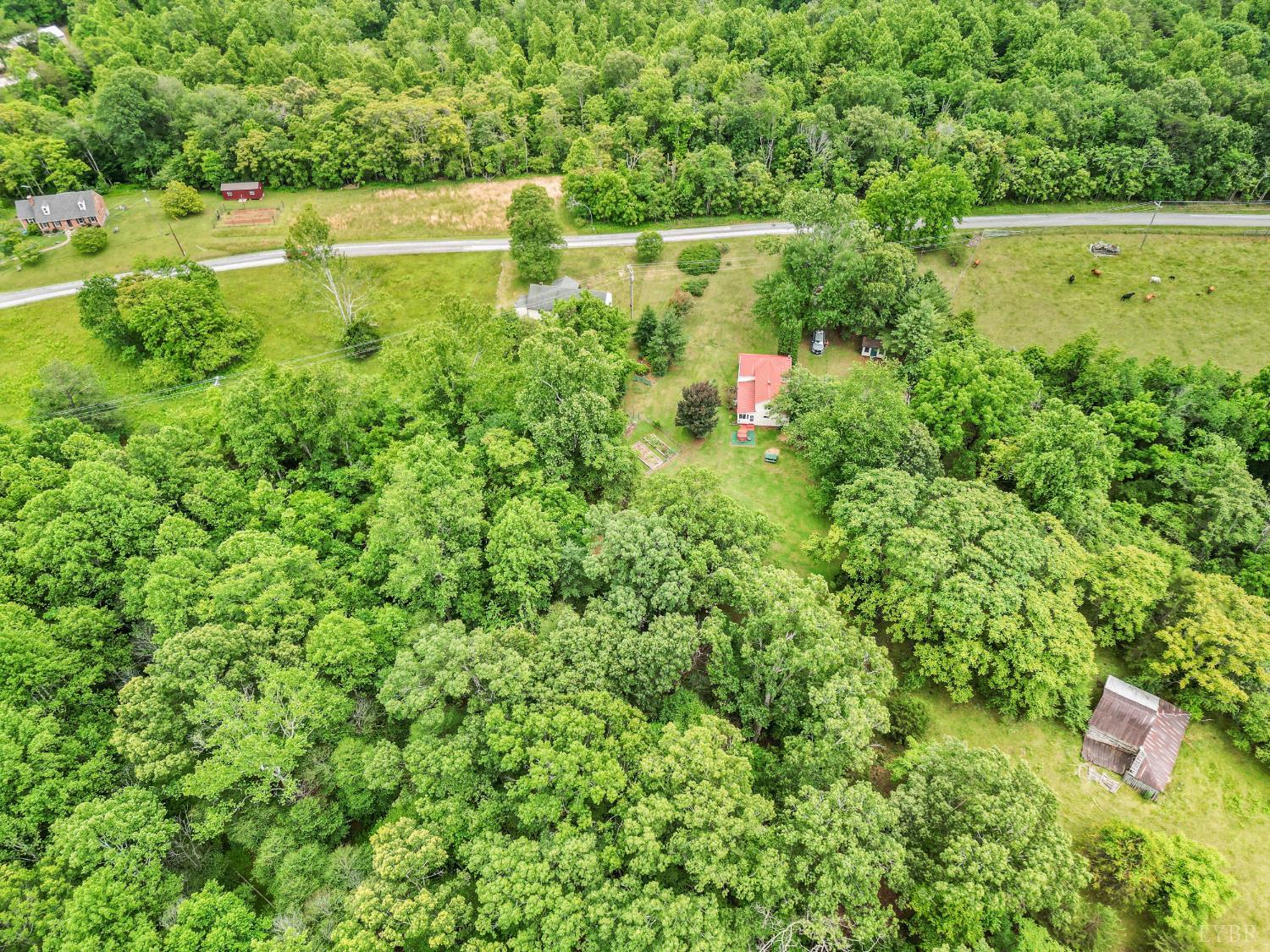 687 Gidsville Road, Amherst, Virginia image 44