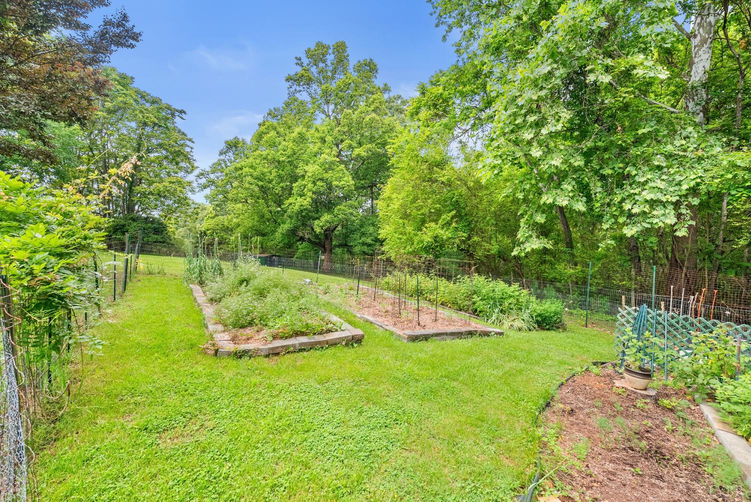 687 Gidsville Road, Amherst, Virginia image 6