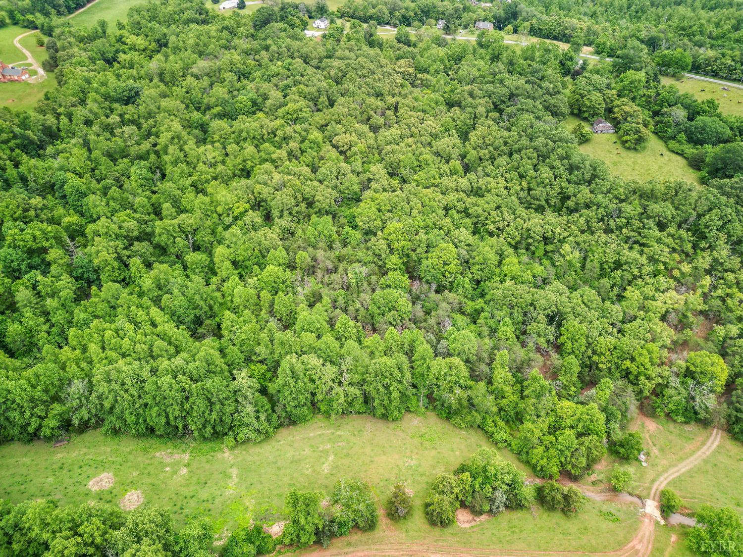 687 Gidsville Road, Amherst, Virginia image 48