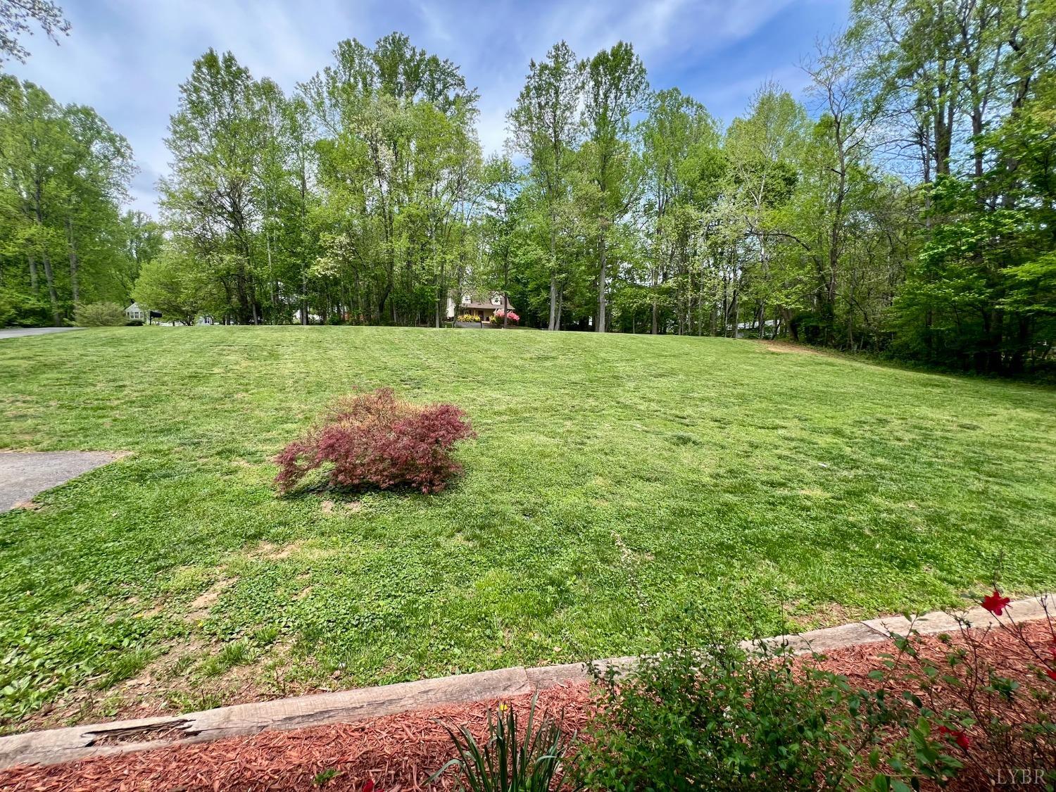 144 Silvers Lane, Amherst, Virginia image 39