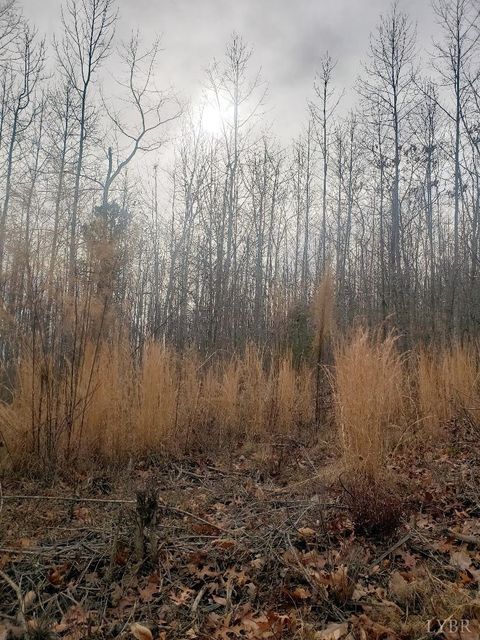 Photo of 0 Mountain Creek Rd, Green Bay, VA 23942 (MLS # 363467)