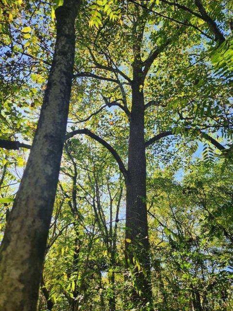 Tiny photo for 0 Soybean Drive, Appomattox, VA 24522 (MLS # 364588)