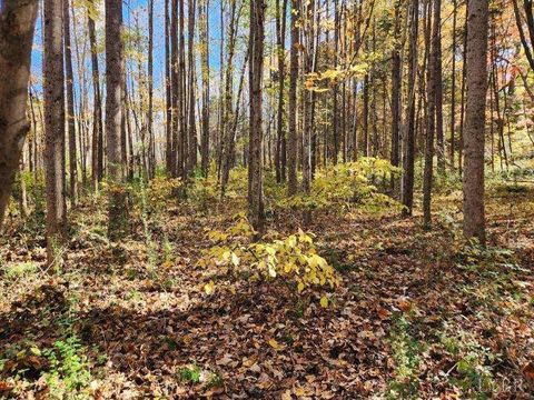 Tiny photo for 0 Soybean Drive, Appomattox, VA 24522 (MLS # 364588)