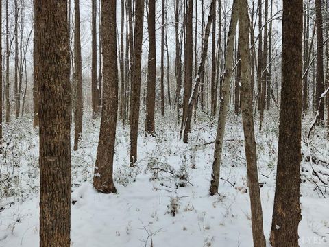 Tiny photo for 0 Soybean Drive, Appomattox, VA 24522 (MLS # 364588)