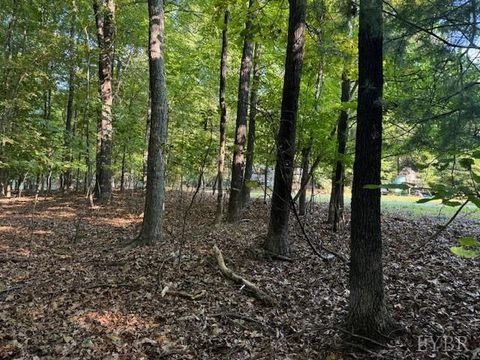 Tiny photo for 22 Woodshire Drive, Blue Ridge, VA 24064 (MLS # 365363)