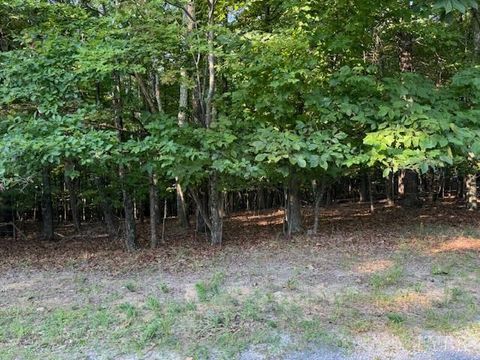 Tiny photo for 22 Woodshire Drive, Blue Ridge, VA 24064 (MLS # 365363)