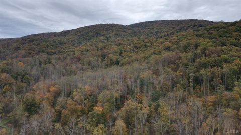 Tiny photo for 0 North Fork Road, Amherst, VA 24521 (MLS # 362796)