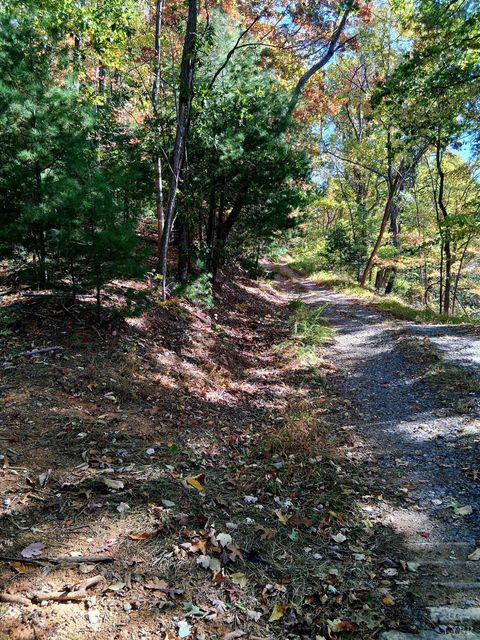 Tiny photo for 0 North Fork Road, Amherst, VA 24521 (MLS # 362796)