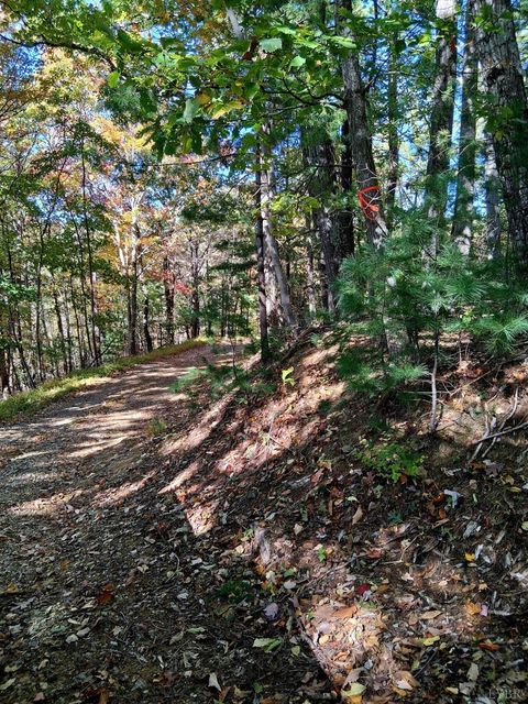 Tiny photo for 0 North Fork Road, Amherst, VA 24521 (MLS # 362796)