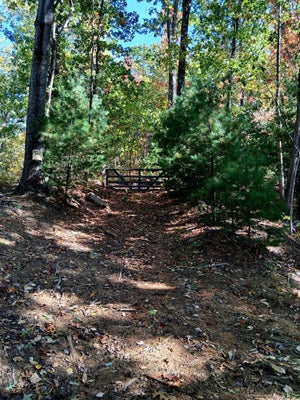 0 NORTH FORK ROAD, AMHERST, VA 24521 - Image 95ec4573e0539d5beeb82aadf00a5e54/4021023336