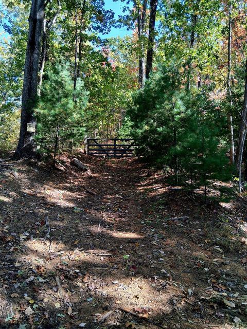 Photo of 0 North Fork Road, Amherst, VA 24521 (MLS # 362796)