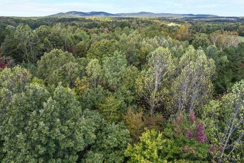 Tiny photo for 0 Pauls Road, Rustburg, VA 24588 (MLS # 362355)