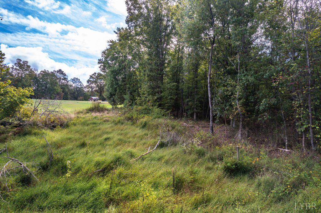 Rustburg, Virginia 24588, United States, ,Land,Active,224544