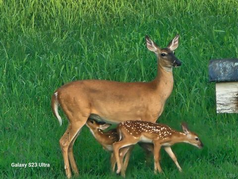 Tiny photo for 1872 Wards Road, Hurt, VA 24563 (MLS # 363235)